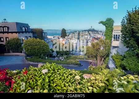 Lombard Street "Crooked", San Francisco, California, U.S.A Foto Stock