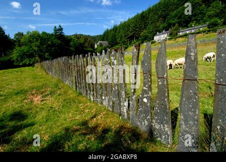 Ardesia recinzioni in Corris Village, Gwynedd Galles Regno Unito Foto Stock