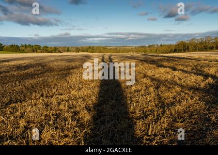 Terreno agricolo in collina Chiltern con forti ombre di alberi Foto Stock