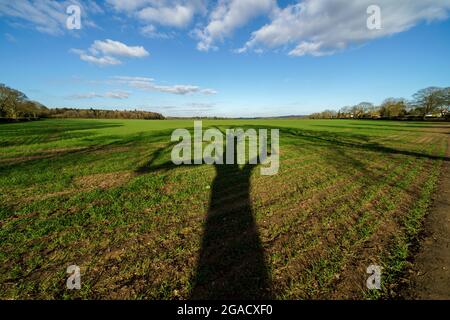 Terreno agricolo in collina Chiltern con forti ombre di alberi Foto Stock