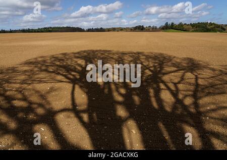 Terreno agricolo in collina Chiltern con forti ombre di alberi Foto Stock