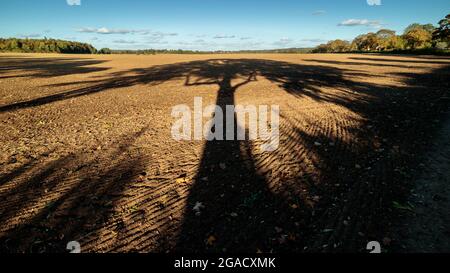 Terreno agricolo in collina Chiltern con forti ombre di alberi Foto Stock