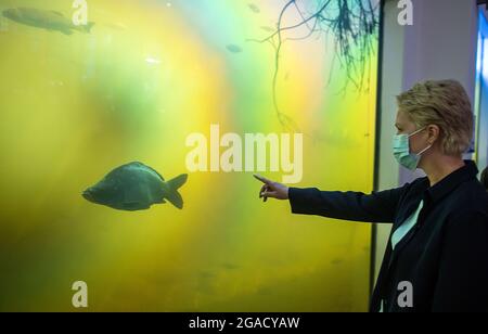 30 luglio 2021, Meclemburgo-Pomerania occidentale, Güstrow: Manuela Schwesig (SPD), presidente della Ministra del Meclemburgo-Pomerania occidentale, osserva il pesce in un acquario di Wildpark-MV. I 19 giardini zoologici del Meclemburgo-Pomerania occidentale aprono le loro porte per la Giornata dello Zoo di Stato. I bambini fino a 14 anni di età possono accedere gratuitamente. Il motto del giorno dello zoo di stato di quest'anno è 'Bambini-Animali-Educazione'. Foto: Jens Büttner/dpa-Zentralbild/dpa Foto Stock