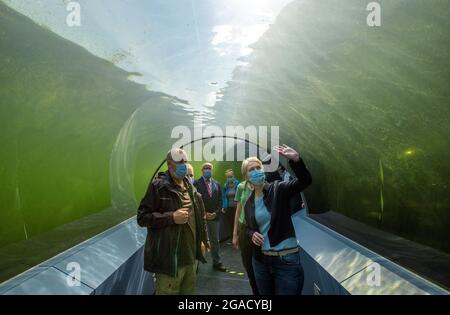 30 luglio 2021, Meclemburgo-Pomerania occidentale, Güstrow: Manuela Schwesig (SPD, r), il ministro presidente del Meclemburgo-Pomerania occidentale, guarda i pesci dal tunnel d'acqua di Wildpark-MV con Klaus Tuscher (l), capo del Wildpark-MV. I 19 giardini zoologici del Meclemburgo-Pomerania occidentale aprono le loro porte per il giorno dello zoo. I bambini fino a 14 anni non pagano l'ingresso. Il motto del giorno dello zoo di Stato di quest'anno è 'bambini-animali-educazione'. Foto: Jens Büttner/dpa-Zentralbild/dpa Foto Stock