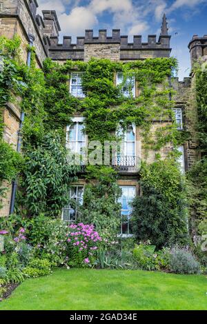 Una Wisteria che cresce sulla parte anteriore di Renishaw Hall & Gardens, Renishaw Park, casa di campagna a Renishaw, Chesterfield, Derbyshire, Inghilterra, Regno Unito Foto Stock