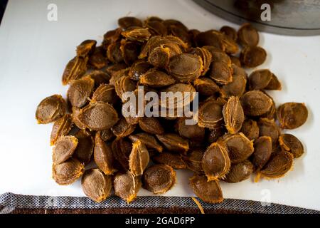 Il processo di produzione della marmellata di albicocche a casa. Pits di albicocche appena sbucciate. Foto Stock