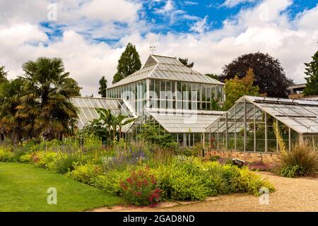 CAMBRIDGE ENGLAND UNIVERSITY BOTANIC GARDENS UNA FILA DI SERRE E AIUOLE IN ESTATE Foto Stock