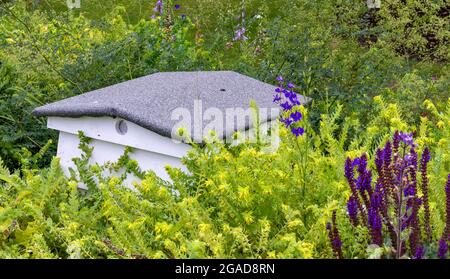 CAMBRIDGE ENGLAND UNIVERSITY BOTANIC GARDENS BEEHIVE NEI LETTI DI FIORI IN ESTATE Foto Stock