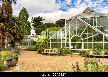 CAMBRIDGE ENGLAND UNIVERSITY BOTANIC GARDENS FILA DI SERRE E AIUOLE IN ESTATE Foto Stock