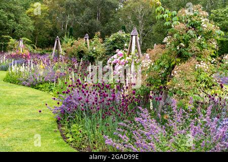 CAMBRIDGE ENGLAND UNIVERSITY BOTANIC GARDENS IL ROSETO E AIUOLE IN ESTATE Foto Stock