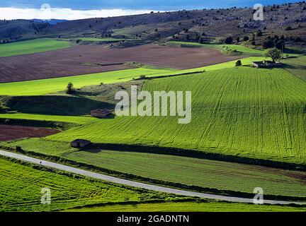 Orizzontale. Valle de la Sangre, Calatañazor, provincia di Soria, Castilla Leon, Spagna. Foto Stock