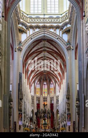 Interno della Cattedrale di San Giovanni, Den Bosch, Paesi Bassi Foto Stock