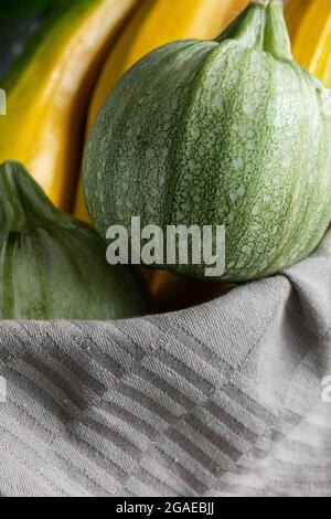 Due varietà di zucchine direttamente dal giardino biologico Foto Stock