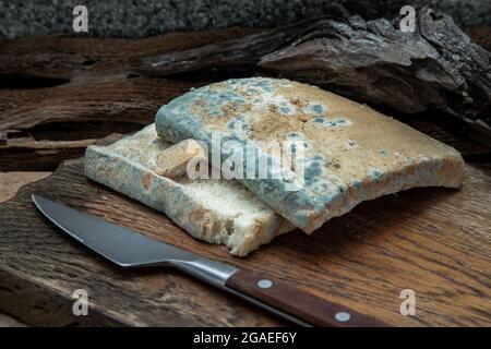 Muffa la crescita rapida su fette di pane ammuffito in spore verdi e bianche e coltello su tagliere di legno. Cibo marcio e non commestibile. Messa a fuoco selettiva. Foto Stock