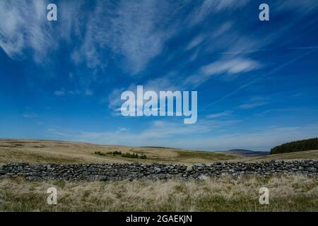 Nuvola alta su Dartmoor, guardando a nord verso Manga Hill Foto Stock