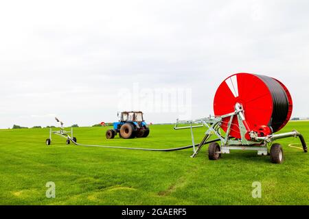 Innaffiare un campo verde vegetale con un grande tubo dell'acqua sulla bobina rossa, irrigatore e trattore blu in estate. Agricoltura e produzione alimentare. Foto Stock