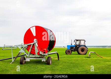 Annaffiare un campo verde vegetale con un grande tubo dell'acqua sulla bobina rossa e trattore blu in estate. Agricoltura e produzione alimentare. Foto Stock