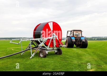 Annaffiare un campo verde vegetale con un grande tubo flessibile d'acqua sulla bobina rossa vicino trattore blu in estate. Agricoltura e produzione alimentare. Foto Stock