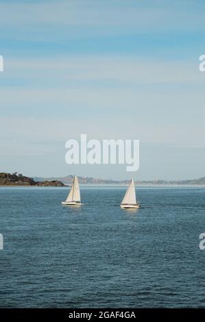 Due barche a vela nella Baia di San Francisco Foto Stock