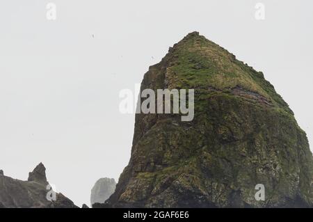 Haystack Rock primo piano a Cannon Beach, Oregon Foto Stock