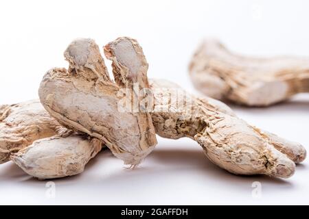 Suntha, Zingiber officinale, Ginger su sfondo bianco Foto Stock