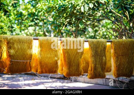 Bella seta gialla Thanh Hoa provincia nord Vietnam Foto Stock