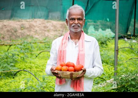 Felice agricoltore indiano che detiene fresco fattoria produrre pomodori a serra o polyhouse e guardando fotocamera - concetto di buona crescita del raccolto e profitto in Foto Stock