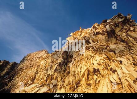 Pila di carte di scarto colorate manila per il post-consumo all'aperto sotto la luce del sole, pronte per la produzione di carta riciclata. Foto Stock