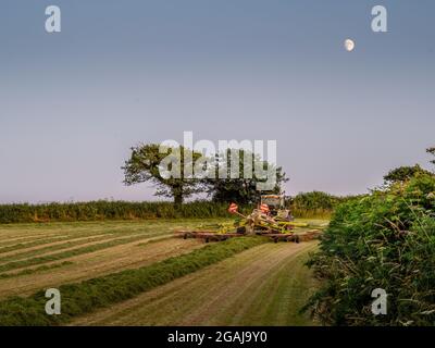 DEVON, INGHILTERRA - LUGLIO 20 2021: Un contadino che fa fieno mentre il sole splende, lavorando alla sera. Foto Stock