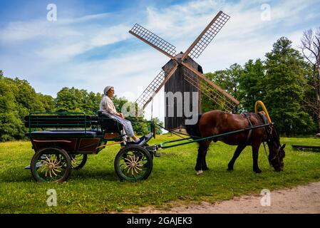 Un cavallo Amish e una carrozza viaggiano su una strada rurale presso il mulino a vento. Foto Stock