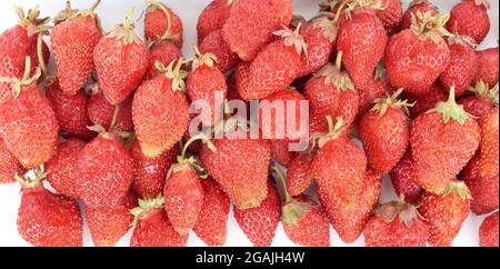 Un sacco di fragole e un albicocca gialla con foglia verde giacciono su un davanzale bianco. Vista dall'alto Foto Stock