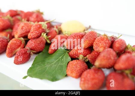 Un sacco di fragole e un albicocca gialla con foglia verde giacciono su un davanzale bianco Foto Stock