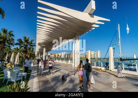 El Palmeral de las sorpresas, Promenade, Hafen, Malaga, Costa del Sol, Provinz Malaga, Andalusia, Spagna, Europa, Foto Stock