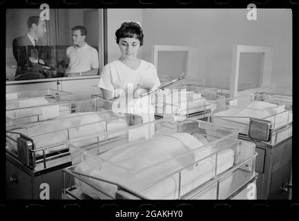 Nurse tende i neonati nel vivaio dell'ospedale universitario di Georgetown mentre i padri fieri stanno alla finestra di osservazione, Washington, DC, 9/23/1964. (Foto di Marion S Trikosko/US News & World Report Collection/RBM Vintage Images) Foto Stock