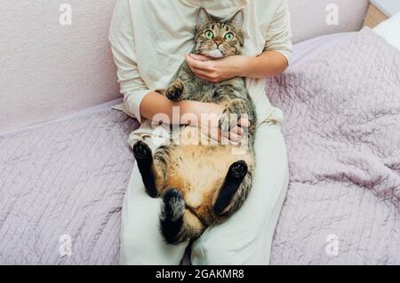 Donna seduta a letto con il suo gatto in mano Foto Stock