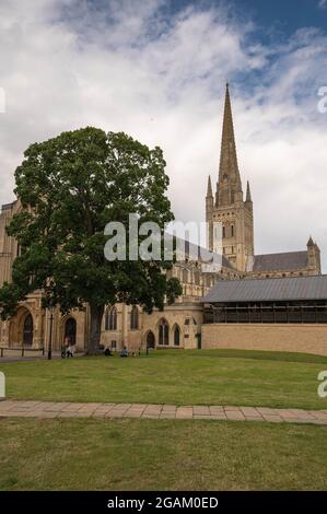 Una vista sulla splendida Cattedrale di Norwich e sui suoi terreni in una giornata soleggiata e calda Foto Stock
