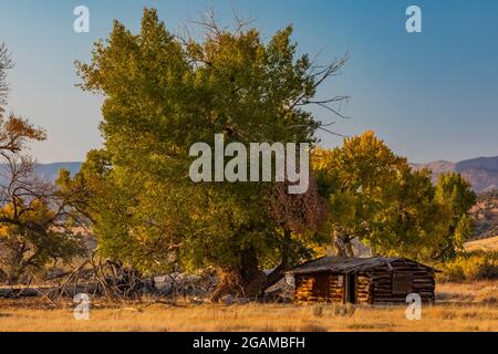 Capanna di tronchi al Ruple Ranch, una vecchia casa di Island Park lungo il fiume Green nel Dinosaur National Monument, Utah, USA Foto Stock