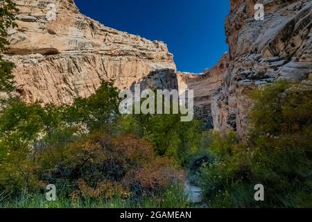 Box Canyon Trail presso la Josie's Cabin nel Dinosaur National Monument, Utah, USA Foto Stock