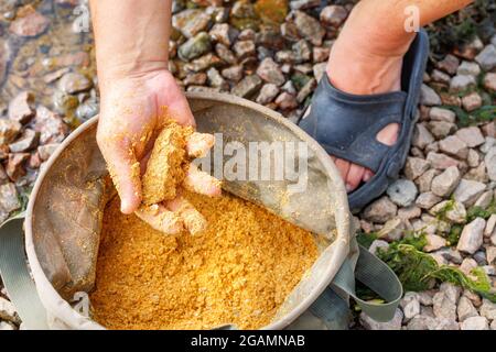 La mano di un pescatore sta mescolando l'esca del pesce per pescare in un secchio del telone. Foto Stock