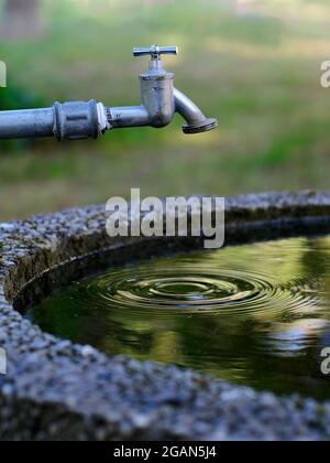 rubinetto gocciolante con caratteristico ripple concentrico nel bacino idrico Foto Stock