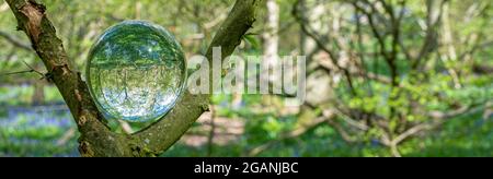 Crystal Photo Lens Magnifying Glass sfera sferica che mostra un'immagine capovolta di rami di alberi di bosco e Bluebells per macro ambientatori Foto Stock