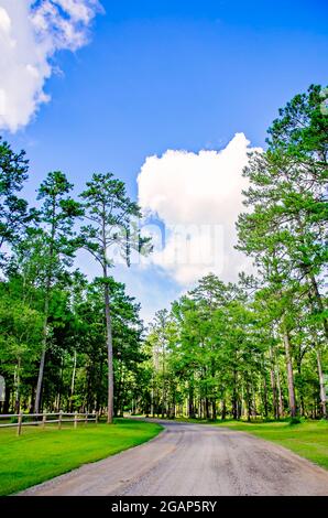 Lo storico Blakeley state Park è stato ritratto, il 26 giugno 2021, a Spanish Fort, Alabama. Foto Stock