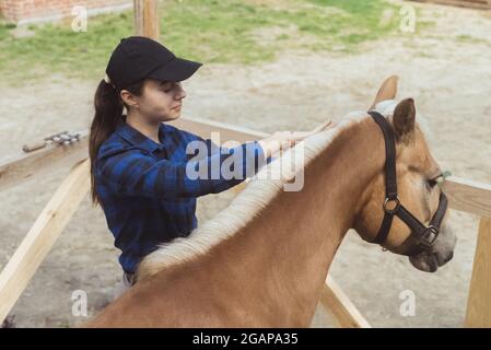 Donna cavallo proprietario spazzolando mane del suo cavallo marrone chiaro nella fattoria di cavalli. La briglia di cavallo è legata alla recinzione di legno. Cavallo Flaxen con una mane bionda che viene curata dal suo proprietario. Foto Stock