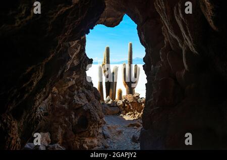 Atacama Giant Cactus e Uyuni deserto di sale pianeggiante visto dalla grotta, isola di Incahuasi, Uyuni, Bolivia. Foto Stock