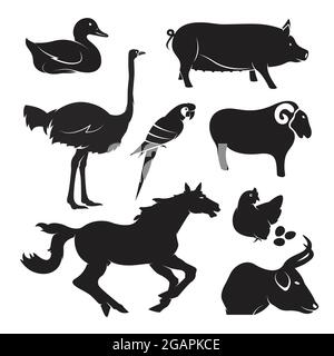 Vettore animale fattoria set su sfondo bianco, cavallo, maiale, pollo, uccello, anatra, oca, mucca, pecora. Illustrazione vettoriale a livelli facilmente modificabile. Animali. Illustrazione Vettoriale