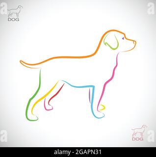 Immagine vettoriale di un cane labrador su sfondo bianco. Illustrazione vettoriale a livelli facilmente modificabile. Animali. Animali domestici. Illustrazione Vettoriale