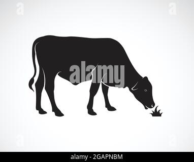 Vettore di una mucca sta mangiando erba su sfondo bianco. Animali da fattoria. Illustrazione vettoriale a livelli facilmente modificabile. Illustrazione Vettoriale