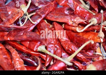 Chillies Guajillo Dry con vista in primo piano. Prodotto in Myanmar. Foto Stock