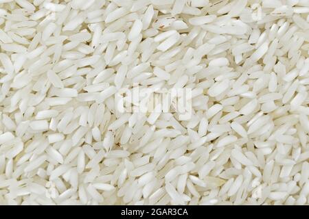 Grani bianchi di riso basmati prodotti in Myanmar, Asia. Il riso è il seme della specie di erba Oryza glaberrima o Oryza sativa. Vista in primo piano. Foto Stock