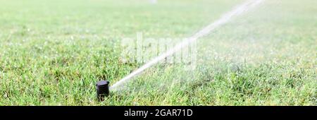 Annaffiare l'erba verde con l'impianto sprinkler durante la siccità Foto Stock